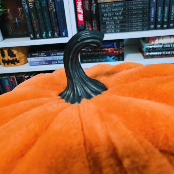 Large Soft Pumpkin Decor Pillow - Picture 4 of 5